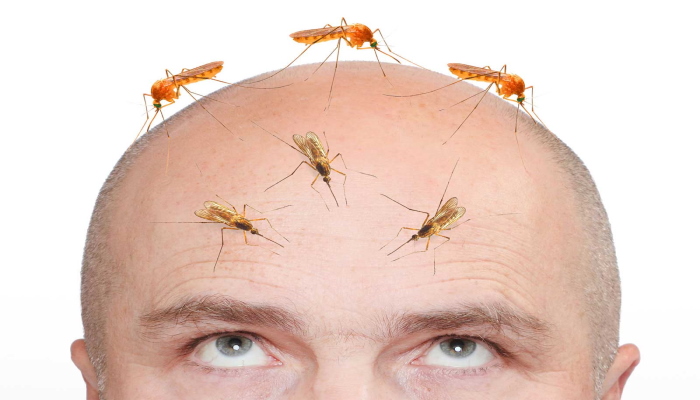 Комары на голове