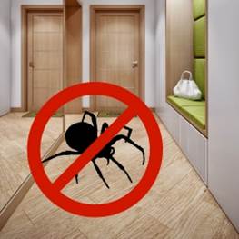 Уничтожение пауков