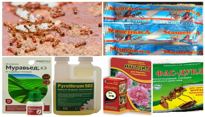 Химические препараты от муравьев