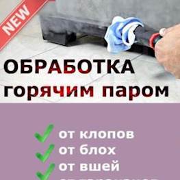 Парообработка