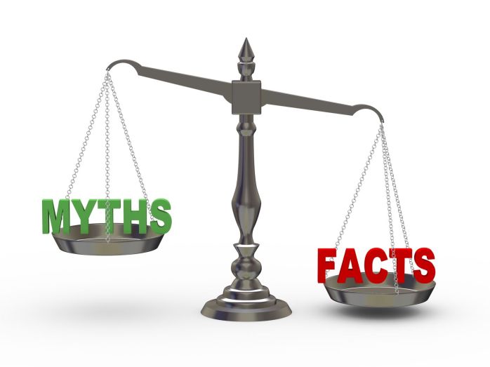 Постельные клопы: мифы и факты