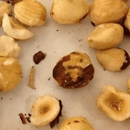 Ореховая моль