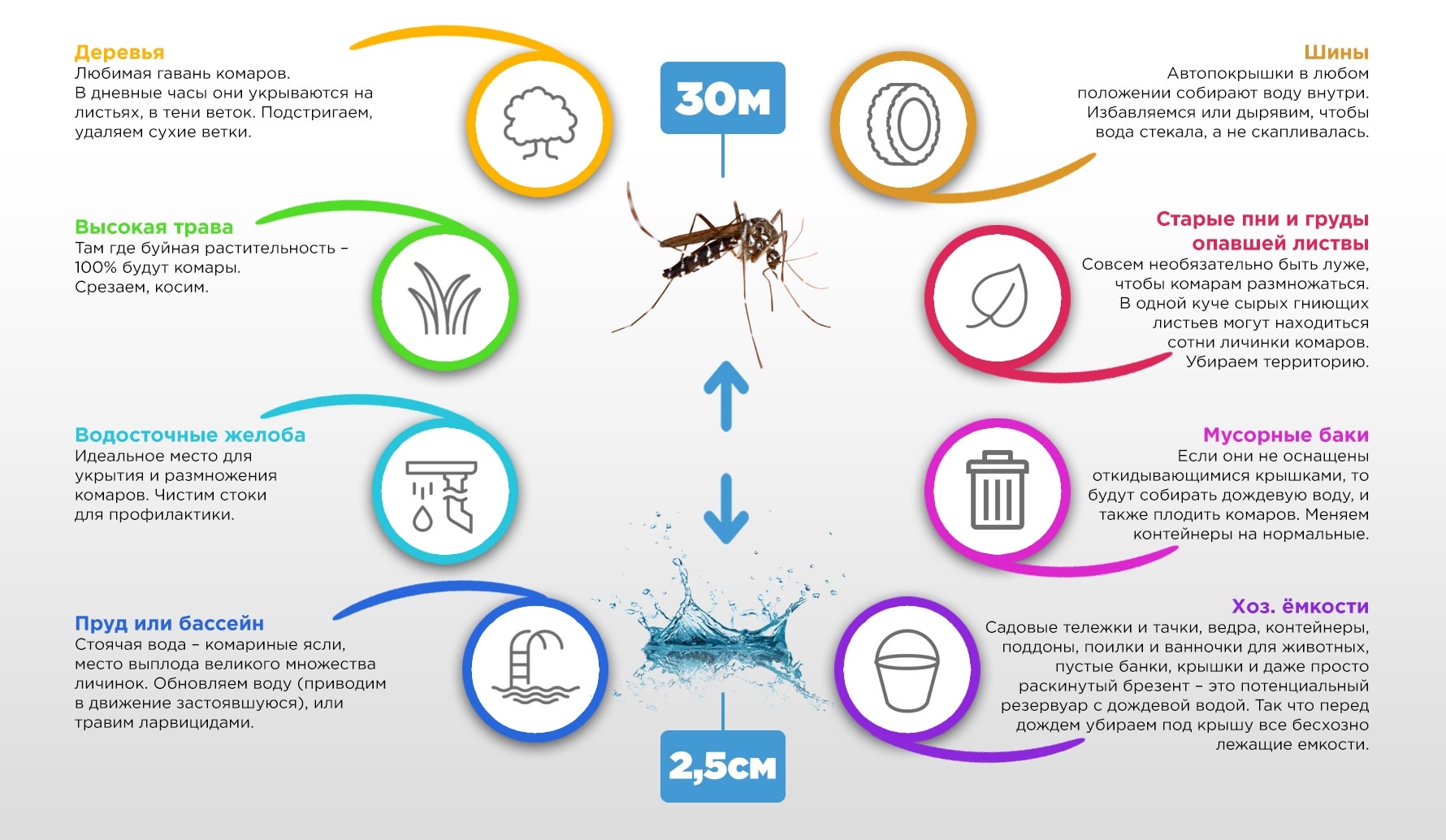 Откуда берутся комары и где живут их личинки – круговая схема