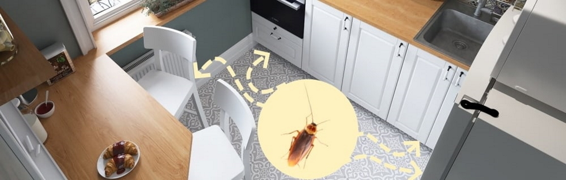 где на кухне прячутся тараканы