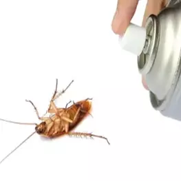 Безопасное средство от тараканов